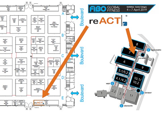 thumb fibo2019 hallenplan