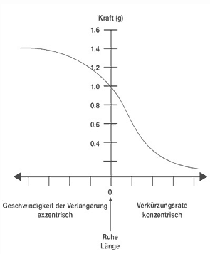 kraft geschwindigkeitskurve