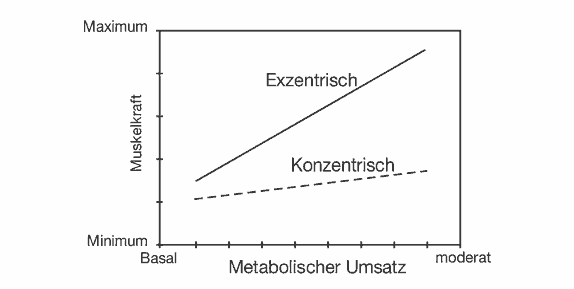 metabolischer umsatz